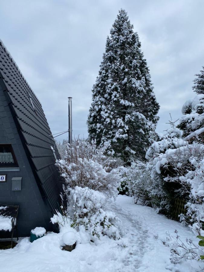 Ferienhaus Im Feriendorf Freilingen Freilingen  Экстерьер фото